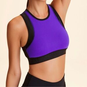 ALALA  Curve Sports Bra Women's Small Black & Purple w/ Mesh Panel‎ Athletic EUC